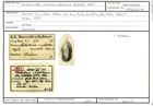 Karteikarte zum Holotyp von Flabellina cristellaroides Karrer, 1877